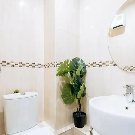 Homely 1 Bedroom In Centre With River View * Dublin